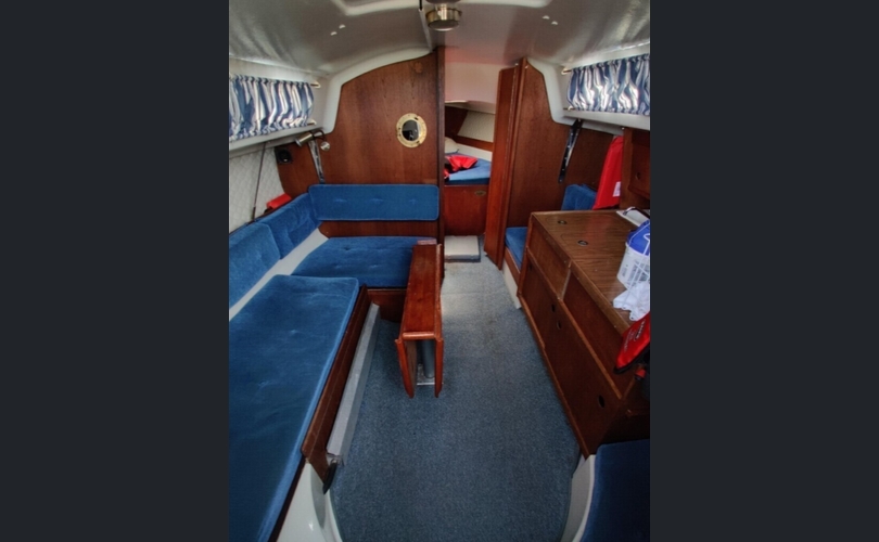 Albin Accent 26-kuva-2